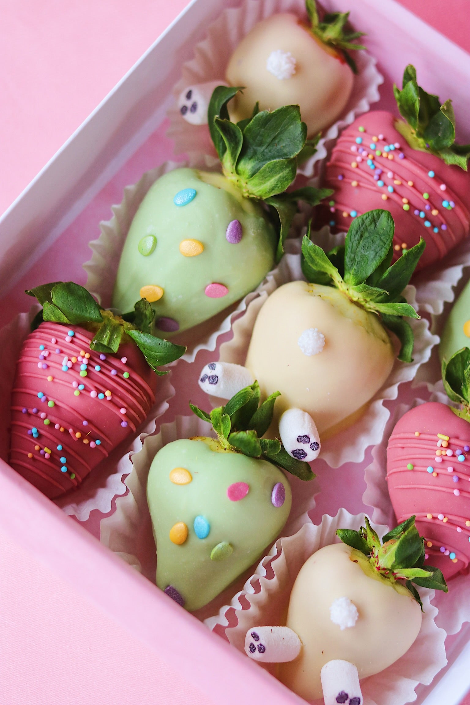 Easter Box of 9